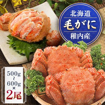ふるさと納税 稚内市 稚内産毛がに　500g〜600g×2尾