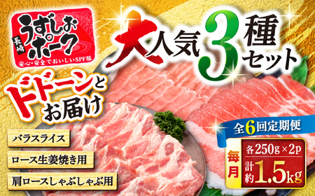 6回定期便 豚肉 大人気3種セット計1.5kg CAG220 国産豚 豚肉 国産豚 バラ