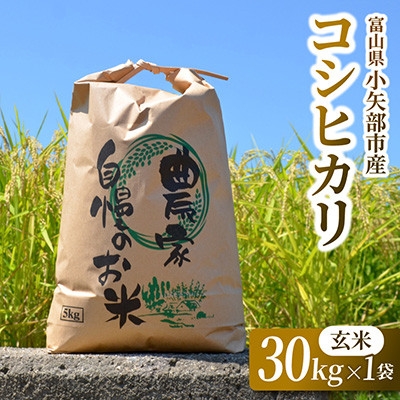 
                  【新米先行受付 2026年10月上旬～順次発送】令和8年富山県産「コシヒカリ」(玄米)30kg×1袋【1656063】
                