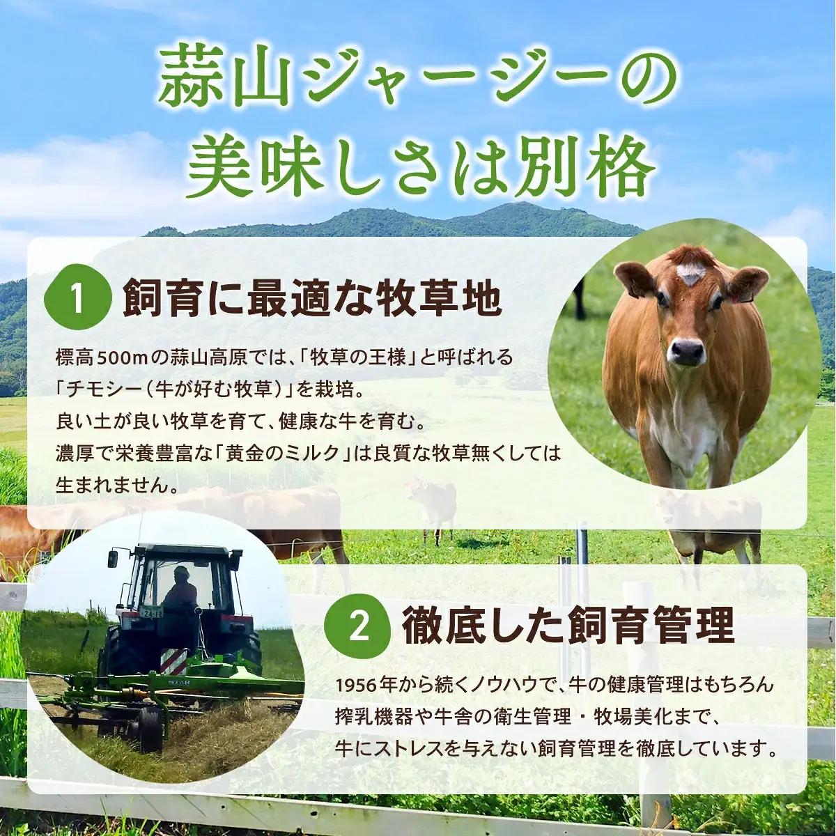 ヨーグルト 蒜山ジャージーヨーグルト10個 スイーツ 【hiru024-01】
