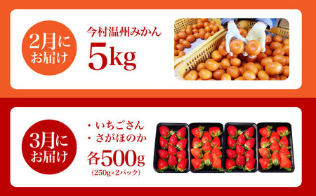 【全2回定期便】 旬のフルーツ定期便 （ みかん ・ いちご ）[HZY101]