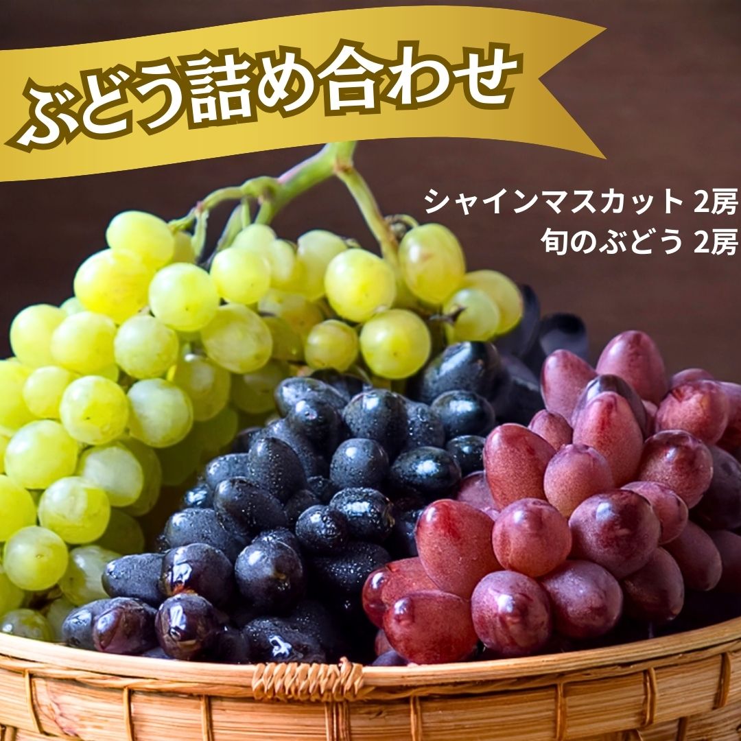 【ふるさと納税】シャインマスカット 旬のぶどう ぶどう 詰め合わせ 2kg 4~5房 川重ぶどう園 【 葡萄 ブドウ フルーツ 果物 採れたて 人気 】　※2025年9月中旬頃から順次発送　※北海道・沖縄・離島への配送不可
