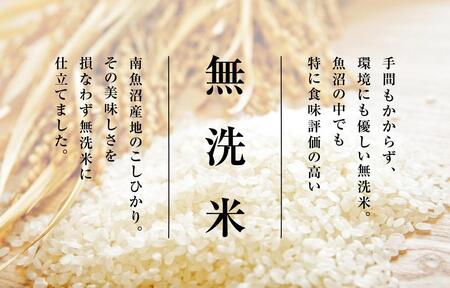 雪温精法　南魚沼産こしひかり5kg　無洗米　契約栽培  雪蔵貯蔵米