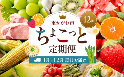 
                  [№4631-2812]東かがわ市ちょこっと定期便(12回) みかん いちご 讃岐うどん アスパラ トマト メロン コーン 豚肉 シャインマスカット 卵 キウイ 黒毛和牛 香川
                