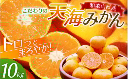 中山農園自慢 天海みかん 完熟宮川早生10kg 【期間限定】/ みかん 和歌山 ミカン フルーツ 果物 早生みかん 柑橘 田辺市 紀州田辺 甘い  【nak007-1】