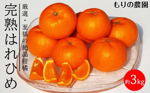 
                  はれひめ「みかんの甘み」と「オレンジの香り」の新品種！3kg【もりの農園 柑橘 果物 フルーツ 人気 おすすめ 瀬戸内 広島県  尾道市】
                
