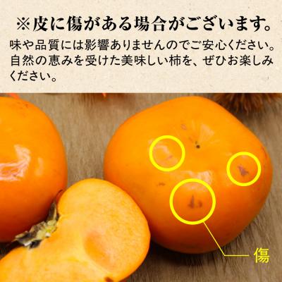 ふるさと納税 宗像市 福岡県ブランド　高級柿【秋王】3.5kg【JAほたるの里】_HA1352 |  | 03