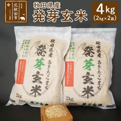 ふるさと納税 北秋田市 令和8年産 発芽玄米 4kg(2kg×2袋)ビタミン カルシウム 食物繊維|hkyu-080401