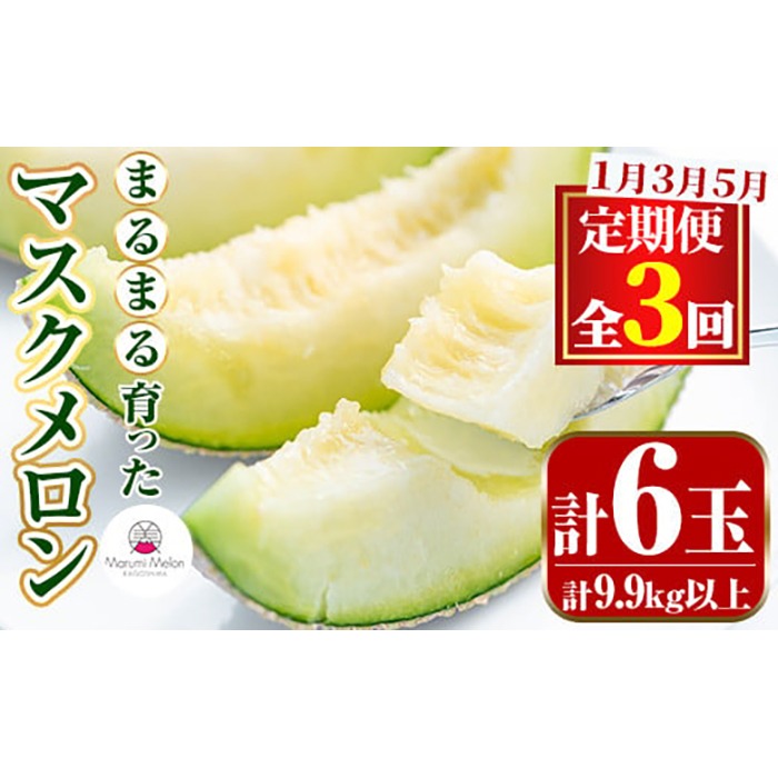 【0642210b】＜定期便・全3回(1月・3月・5月)＞まるまる育ったマスクメロン(2玉×3回・計9.9kg以上) マスクメロン フルーツ 果物 果実 定期便 数量限定 【まる美園芸組合】