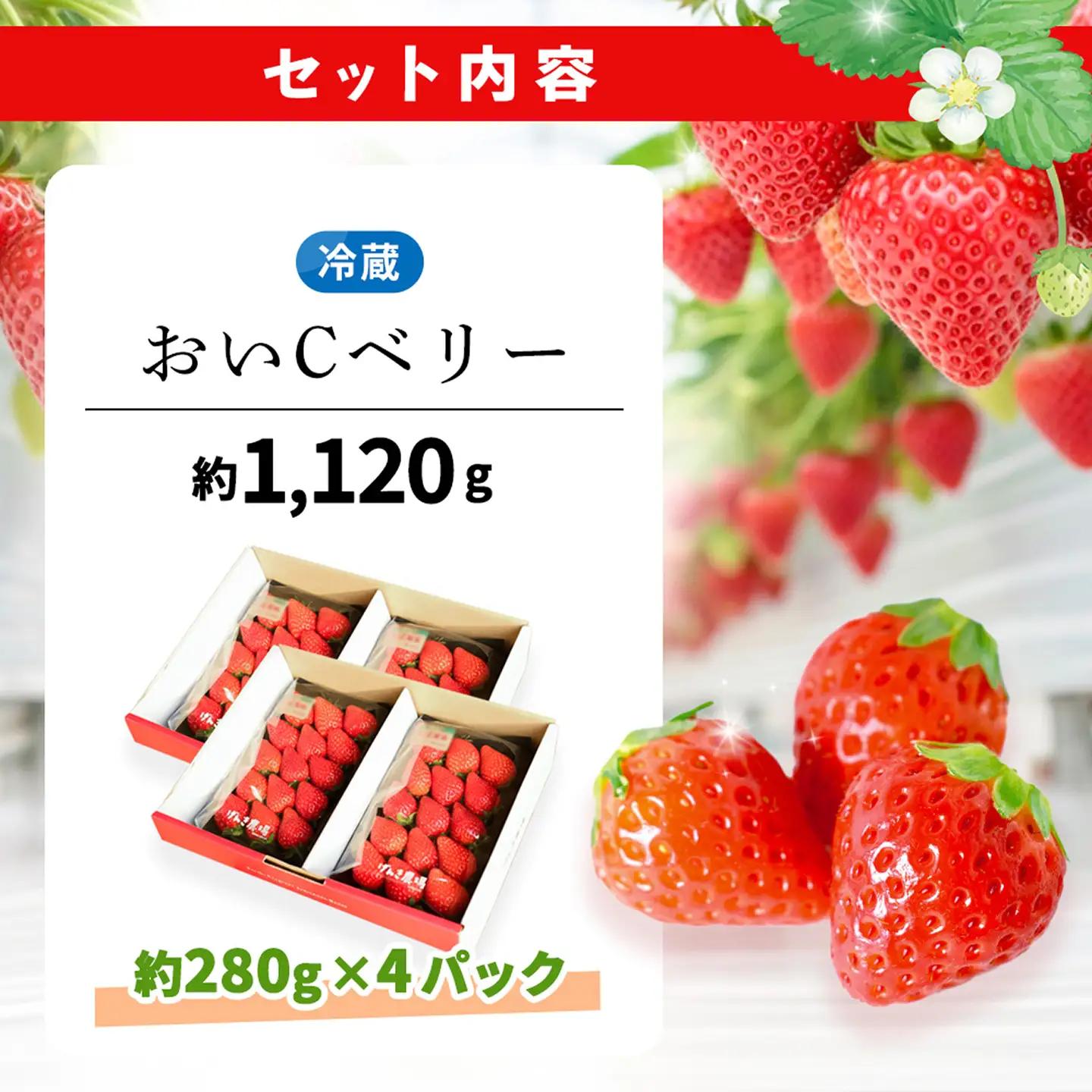 【2026年12月発送】【先行予約】【農場直送！】おいCベリー(約280g×4P) K100066