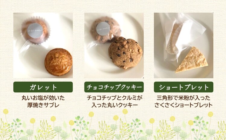 焼き菓子8個セット【ガレット チョコチップ ショートブレット サブレ クッキー クルミ 米粉 さくさく食感 サクサク ホロホロ おやつ デザート カフェタイム ギフト 洋菓子 お茶うけ お三時 お土産