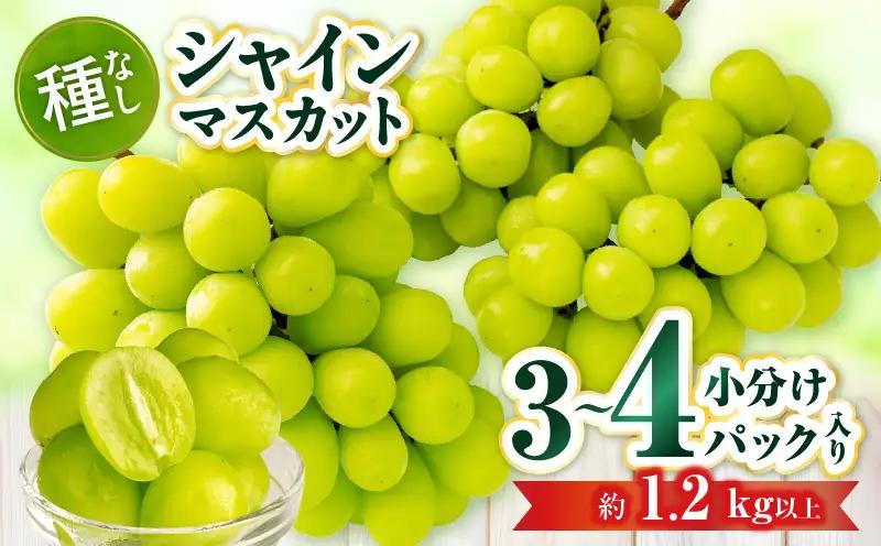 【小分けパック入り】パクパク食べれる・シャインマスカットパック　約1.2kg以上 | シャインマスカット マスカット ぶどう ブドウ 葡萄 果物 フルーツ 新鮮 くだもの 国産 ギフト お裾分け 旬 人気 種なし 皮ごと食べられる ジューシー 糖度が高い 先行受付 先行予約 季節限定 おすすめ 旬の果物 香川 香川県 三木町 |_mk006-142