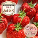 【ふるさと納税】いちご 朝倉市産 あまおう 4L以上 16玉～20玉 イチゴ 苺 果物 デザート ＜Shibayama Farm＞ ※配送不可：離島　朝倉市　お届け：2024年12月中旬～2025年3月下旬
