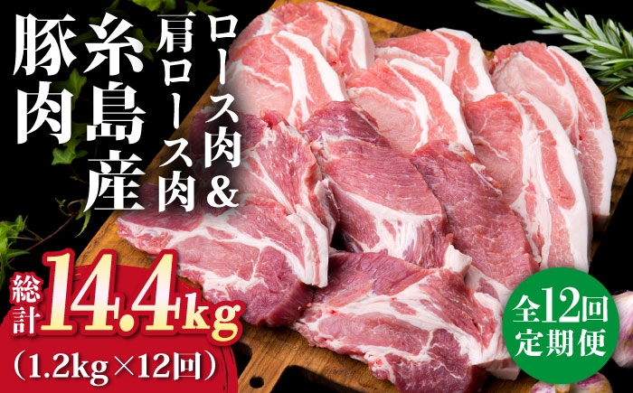 
                  【全12回定期便】糸島産豚ロース肉6枚 肩ロースカツ5枚 合計11枚セット《糸島》【糸島ミートデリ工房】 [ACA231]
                