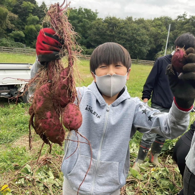 茨城県産 さつまいも『紅はるか』生芋20kg S～Lサイズ混合 2箱｜熟成 サツマイモ 国産 スイーツ 産地直送 人気 蜜芋 阿見町（56-07）