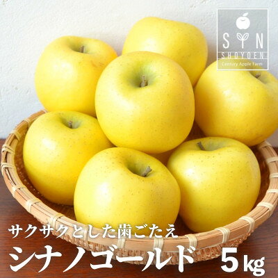 【ふるさと納税】りんご シナノゴールド 5kg 松陽園 樹上 完熟 農家直送 岩手県 遠野市 先行予約【1373226】