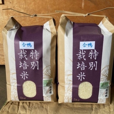 
                  特別栽培米「ミルキークイーン」 白米 精米10kg(5kg×2袋)【1725869】
                