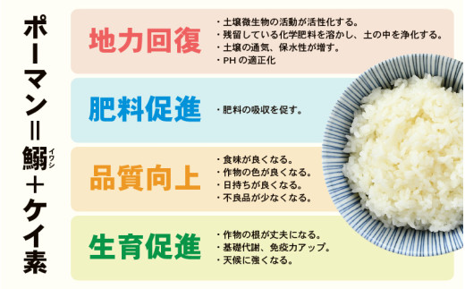 【先行予約】【令和8年産】 特別栽培米 コシヒカリ 無洗米 5kg 低農薬 / 北陸 福井県産 あわら市 ブランド米 白米 お米 コメ 特栽米 ※2026年9月下旬以降順次発送予定 [aw056-a0