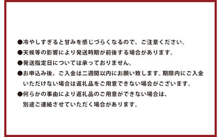 【上村農園】 小玉すいか 約2.3kg2玉 ひとりじめ 【2026年4月上旬～4月下旬迄順次発送予定】 春スイカ 植木 スイカ 西瓜