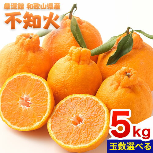 【ふるさと納税】和歌山県産 不知火 約5kg 選べる 厳選館《2月中旬-4月上旬頃出荷》和歌山県 日高町 送料無料 柑橘 柑橘類 でこぽん 不知火 しらぬい デコ デコポン