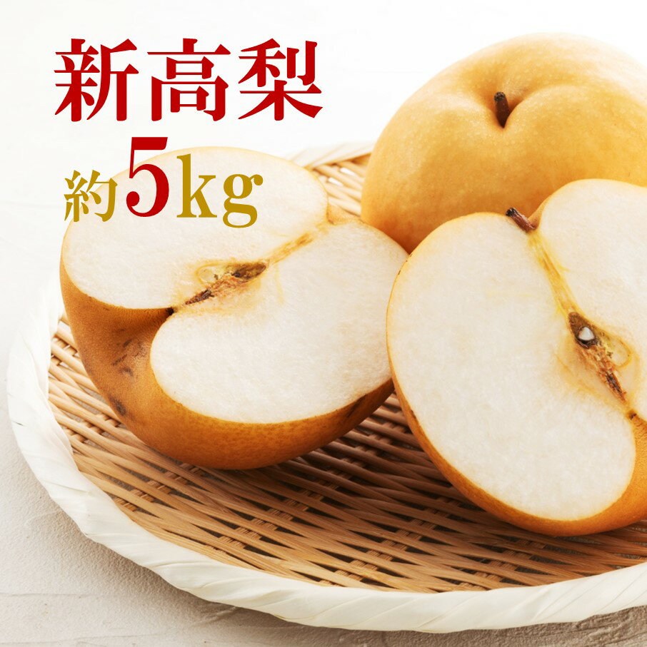 【ふるさと納税】【先行予約/数量限定】梨 新高 にいたか 5kg 令和7年 9月 10月 旬 秋の味覚 フルーツ 果物 なし ナシ 予約 数量限定