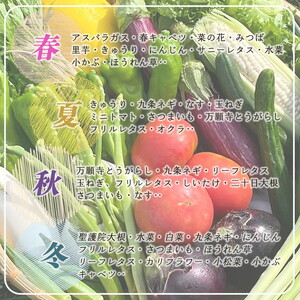 旬野菜 7～10品 コシヒカリ2kg 野菜