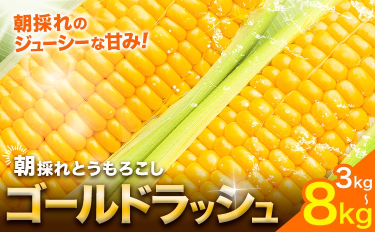
                  【先行予約】とうもろこし 野木町産 老沼 利治《2026年6月中旬-7月中旬頃出荷》栃木県 野木町 ジューシー 生食可能 旬の野菜 健康食 バーベキュー 焼き 茹で とうもろこし ゴールドラッシュ 黄色 イエロー 朝採れ クール便 先行予約 野菜 スイートコーン コーン
                