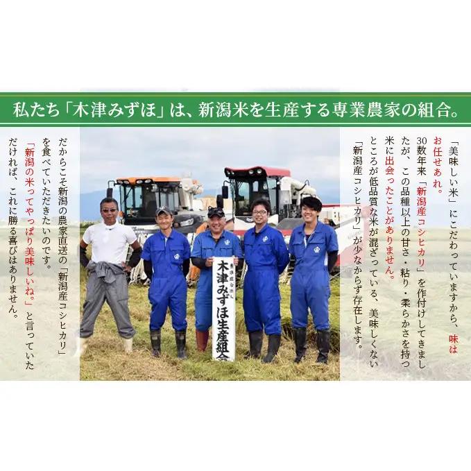 新潟産コシヒカリ精米5kg　真空パック（6か月定期配送） お米 