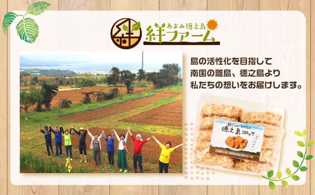 【鹿児島県天城町】徳之島産 新じゃがコロッケ 計60個（10個入り×6袋）じゃがいも 惣菜 おかず