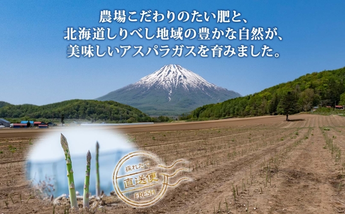 北海道産 グリーン アスパラガス 約1.8kg S - L サイズ混合 アスパラガス アスパラ 旬 朝採り 新鮮 お取り寄せ 産地直送 産直 野菜 農作物 詰め合わせ 国産 しりべしや ニセコファーム