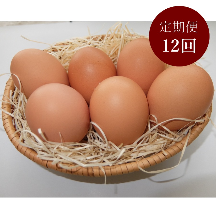 ＜山田養鶏＞「赤玉元気卵」30個【12ヵ月定期便】