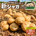 【ふるさと納税】【2025年先行予約】＜選べる＞ 新ジャガイモ 5kg or 10kg シンシア 2～4月お届け 沖永良部 赤土 新じゃが じゃがいも ポテト 野菜 根菜 芋 期間 数量 限定 大容量 化粧箱 長期保存 鹿児島 サトキンファーム 知名町 おすすめ プレゼント ランキング ギフト