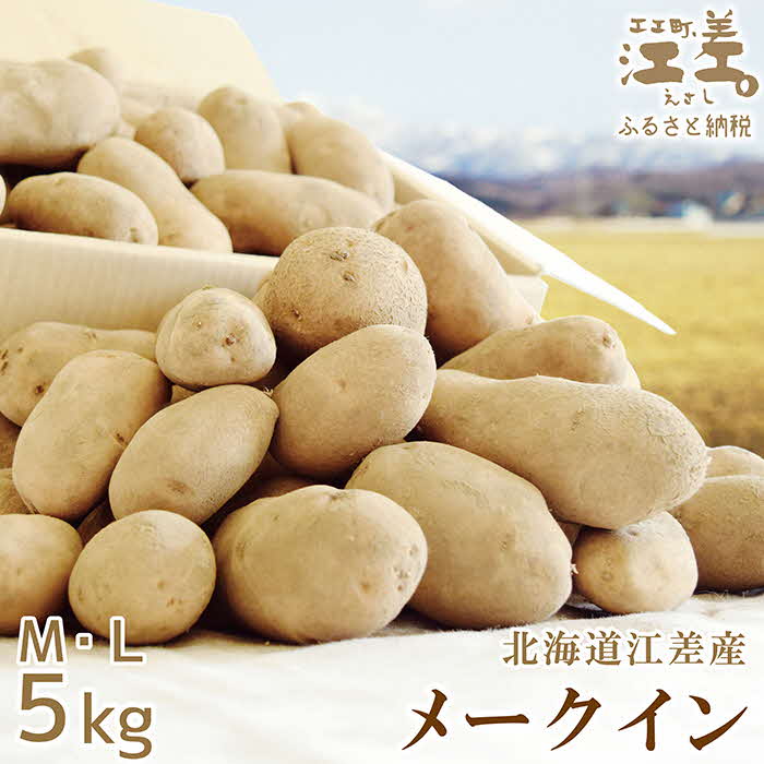【ふるさと納税】★9月頃～順次出荷★北海道産 メークイン 5kg M・L混合　しっとり甘い江差産　北海道のじゃがいも　芋の塩煮にぴったり　じゃがバター　いかの塩辛と一緒にどうぞ