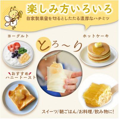 ふるさと納税 京丹後市 森の百花蜜 純粋天然はちみつセット 巣蜜入り純粋天然はちみつ150g、純粋天然はちみつ150g |  | 01