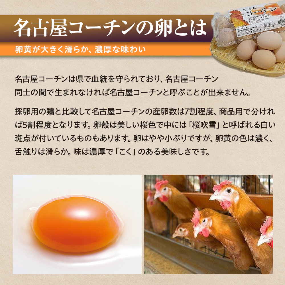 【6か月定期便】日本三大地鶏！！ 「純系　名古屋コーチンの卵」（30個） 本当に美味しい食べ物は調味料の味に負けません！