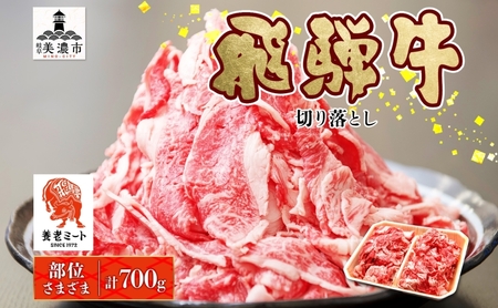 飛騨牛 切り落とし 薄切り 和牛 飛騨牛【350g×2P】【冷凍】
