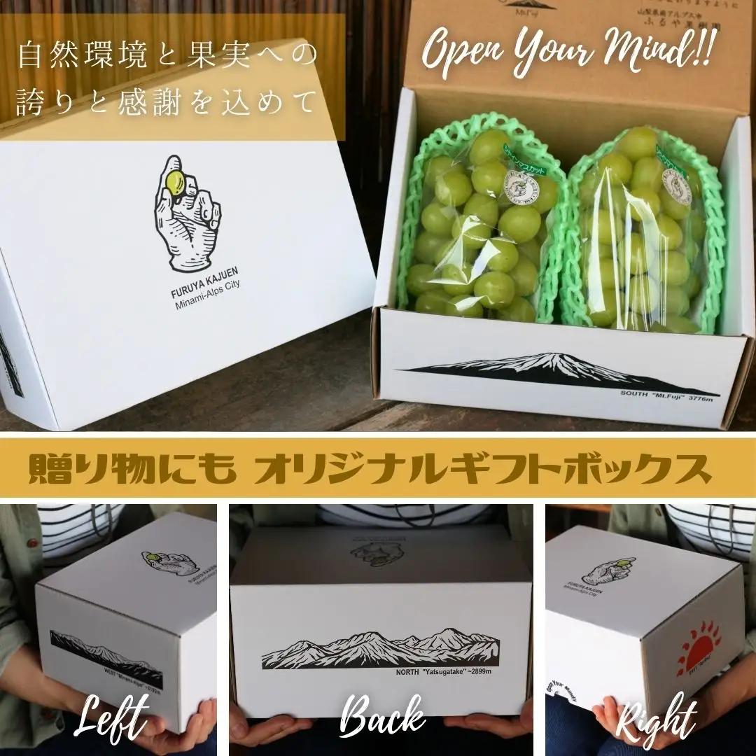 ＜2027年発送先行予約＞ ハウス栽培　南アルプス市産シャインマスカット(2房・約1.2kg)真心で育てる大地の宝石！【早期出荷】 ALPDX006