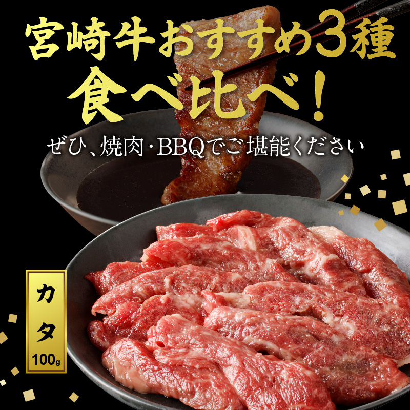 宮崎牛焼肉食べ比べ3種盛合計300g N0140-YA580