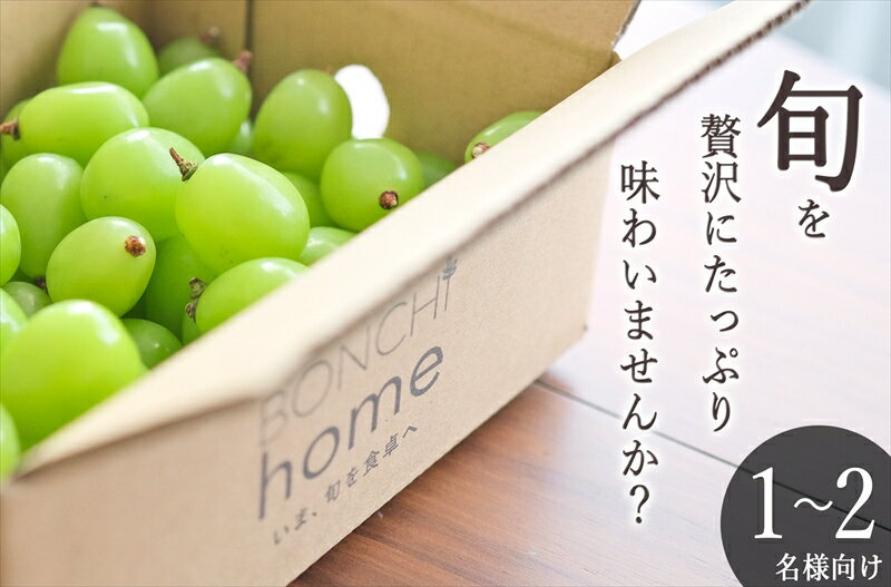 【ふるさと納税】 ＜先行予約2025年＞南アルプス市産 たっぷり粒詰めシャインマスカット 約500g ふるさと納税 シャインマスカット ぶどう 葡萄 果物 フルーツ おすすめ 山梨県 南アルプス市 送料無料 ALPAL011
