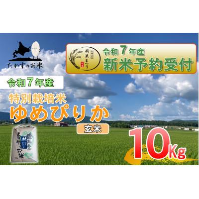 ふるさと納税 鷹栖町 令和7年産新米予約 たかすのお米 特別栽培米 ゆめぴりか 10kg(玄米)