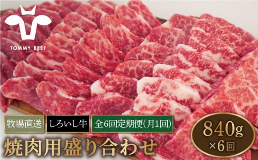 【牧場直送】【6回定期便】佐賀県産 しろいし牛 焼肉用 盛り合わせ セット（希少部位）各回840g 【有限会社佐賀セントラル牧場】[IAH025]