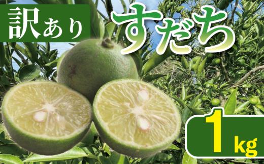 訳あり すだち 1kg サイズ不揃い 家庭用 すだちゼリー すだち果汁 すだち酢 徳島県産すだち 柑橘 果物 訳ありすだち くだもの フルーツ 旬 期間限定 川島えがお倶楽部 2026年8月上旬～発送予定 徳島県 吉野川市