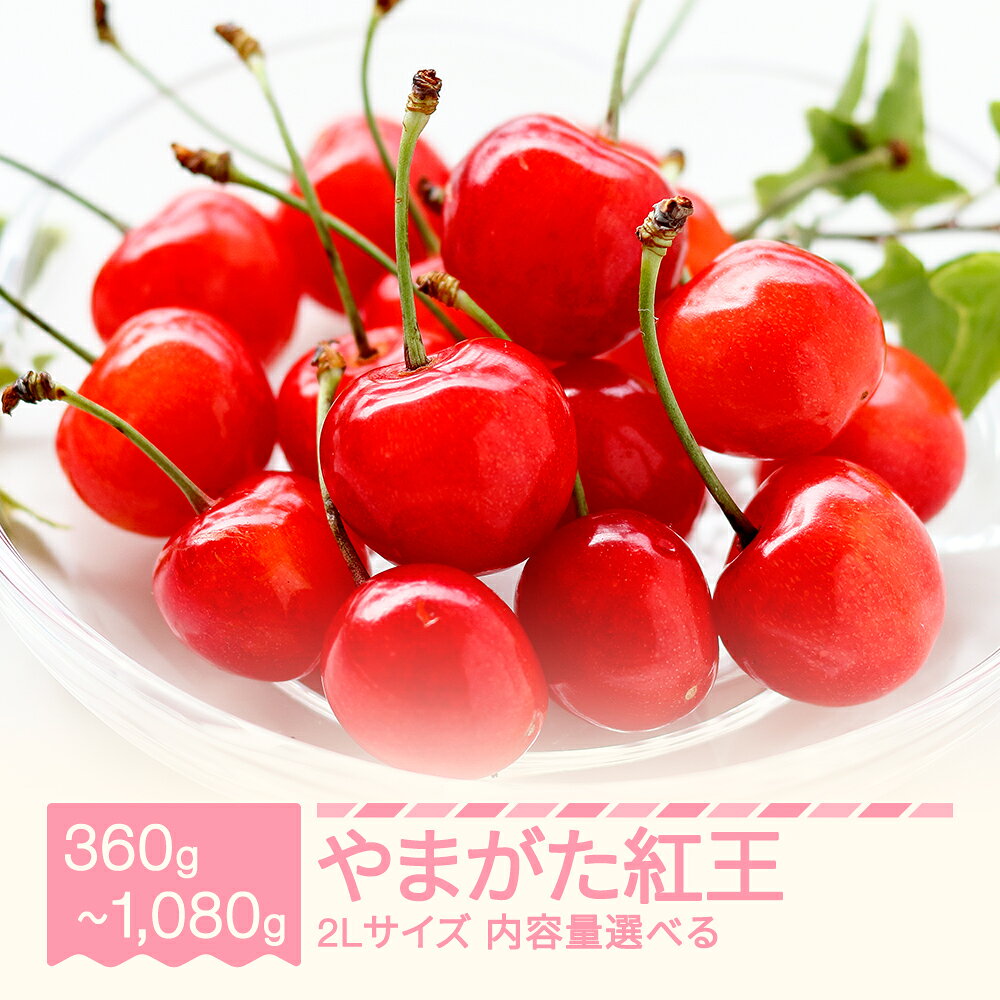 【ふるさと納税】【先行予約】2027年産 令和9年産 さくらんぼ やまがた紅王 2Lサイズ 容量を選べる 山形県産 フルーツ 果物 くだもの サクランボ ※沖縄・離島への配送不可 sb-ybs2x