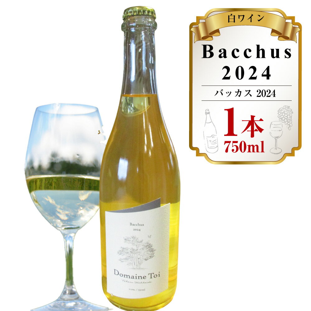 【ふるさと納税】白ワイン Bacchus 2024 バッカス 2024 750ml×1本 ワイン ぶどう ブドウ 葡萄 お酒 飲料 アルコール分11.0％ 冷蔵 北海道産 国産 北海道 鷹栖町 送料無料 【2026年1月上旬まで発送予定】