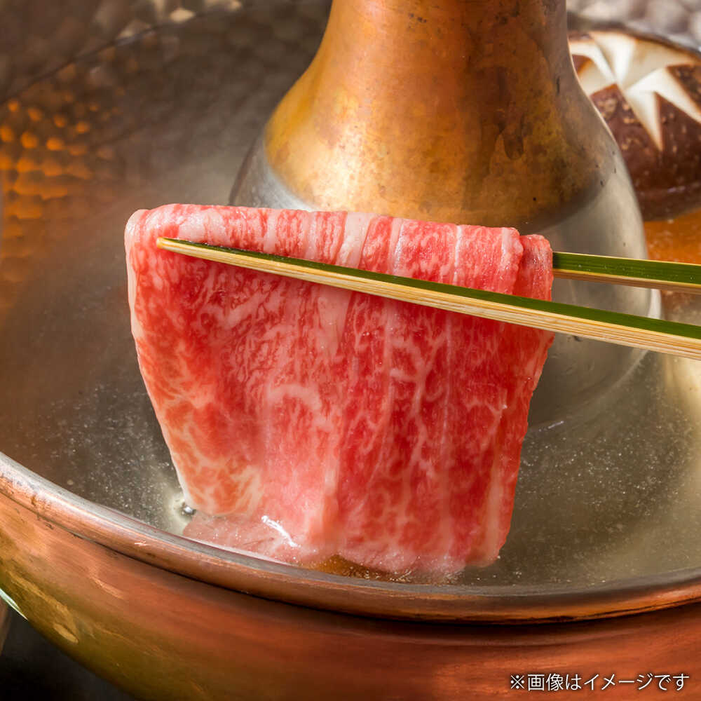 【ふるさと納税】くまもと あか牛 肩ロース しゃぶしゃぶ用 約500g【亀井通産 株式会社】[AYBQ068]