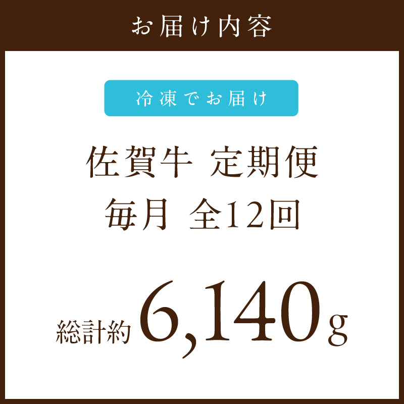 【発送月固定 定期便】肉の定期便! 特選佐賀牛 毎月月替わりでお届け 全12回 J1172