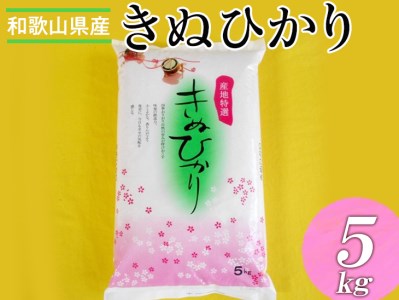 和歌山県産キヌヒカリ &nbsp;5kg(2025年産) ※2025年9月中旬頃より順次発送予定