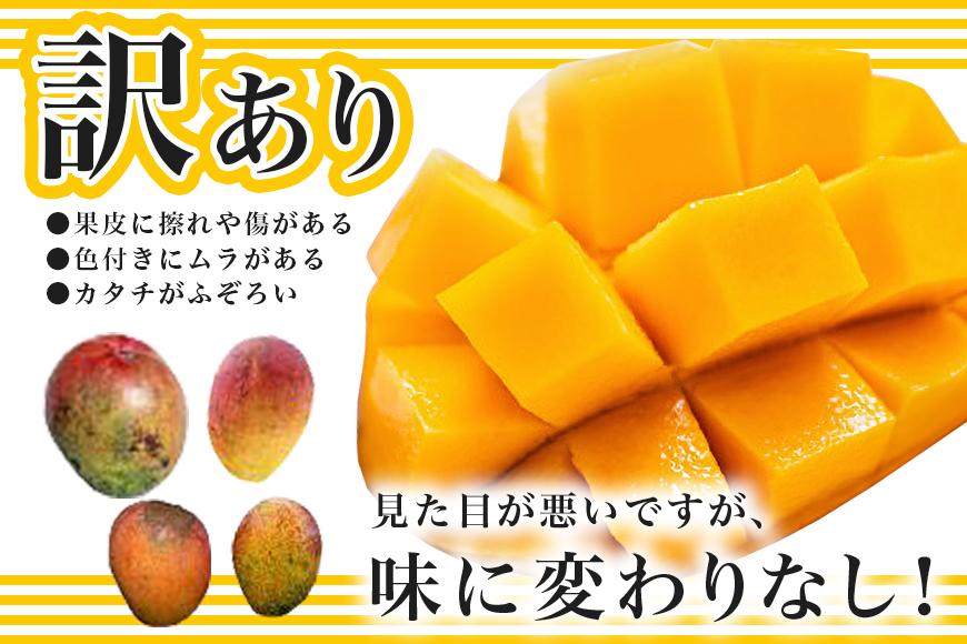 【2026年発送】かねよしマンゴーの甘くとろけるマンゴー1kg(家庭用)