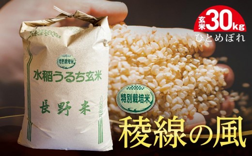 特別栽培米　稜線の風（ひとめぼれ）玄米 30kg｜米  国産米 長野県産 人気 おすすめ お米 減農薬 ごはん 和食 健康 送料無料 長野県 大町市 ふるさと納税