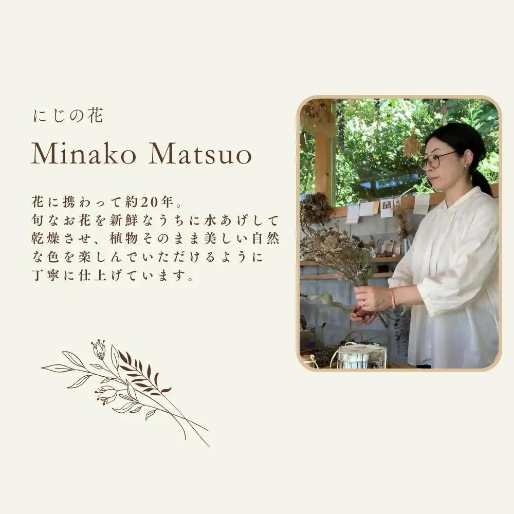 ドライフラワー季節の花定期便（年3回）（白・グリーン、ピンク、おまかせ）の3種よりランダムにお届け  XY003